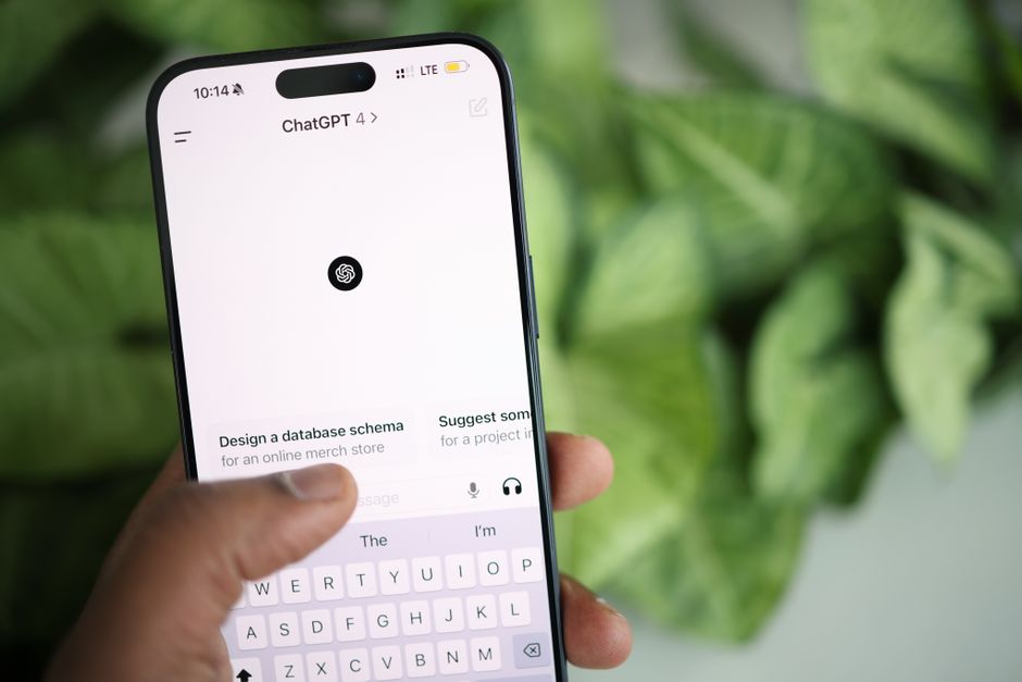 WhatsApp Chatbot Green Tick Onayı Nasıl Alınır?